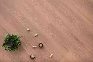 Кварцвиниловые полы Ecoclick Wood  замковый 4.2мм NOX-1614 Дуб Арагон фото  | FLOORDEALER